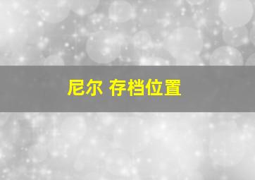 尼尔 存档位置